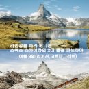 스카이라인투어 이미지