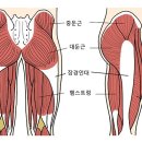 마이그짐 이미지