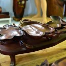 국전1리 이미지