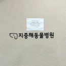 지중해동물병원 이미지