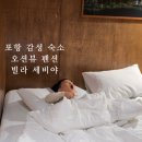 동해도어 | 포항 오션뷰펜션 동해풀빌라 감성숙소 빌라세비야! 아이랑 무료자쿠지 즐긴 후기