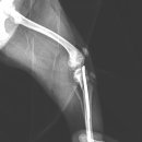 열린동물병원 이미지