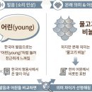 (YOUNG)콜라겐