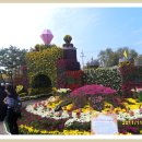 익산 중앙체육공원 천만송이 국화축제 이미지