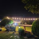 평생 사랑해 줄 개 애견펜션 이미지