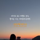 Tree Pet(트리펫) 이미지