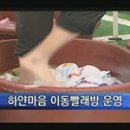 하얀빨래방 이미지