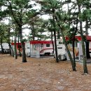 한월당로 이미지