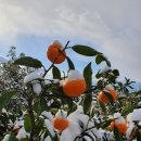 리나농장 이미지