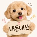 네일하는 날 - 포항시 북구 | 안산 네일아트 추천, 중앙동 손톱하는날 방문 후기