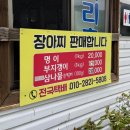 나리촌식당 | [울릉][북면][내돈내산]울릉도의 신선한 채소를 즐길 땐, 나리촌 식당