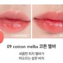 코랄