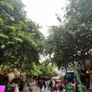 비제이팜 | 태국 방콕 자유여행) 람부뜨리 로드,박유이 팟타이, 카오산 로드 , 더원 클럽 가기 전에 필독 Tip!