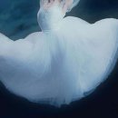 광주시립발레단 제135회 정기공연 이미지