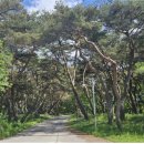 거창-북상-7 이미지