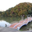 황금비늘 테마거리 이미지