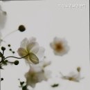 지성노인요양센터 이미지