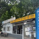 호계시외버스정류소 | 🚍 대전 둔산 시외버스 정류소 이용 후기 ✨/ 대전청사 시외버스 둔산정류소 (승차) / 하차 장소 /인천...