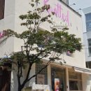 카페;청담 | 도산공원 카페 노티드 청담 한정메뉴 시나몬롤 후기