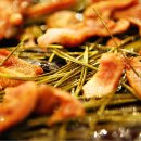 청정오리떼 이미지