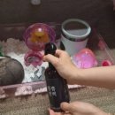 (주)케이지환경 | 피톤치드편백수 추천! 여름철 햄스터 냄새 관리까지, 뿜뿜편백 편백수 실내용 탈취제 사용후기