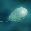 부동산경매공법(주간) 이미지