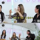 허니살롱 뉴스엔