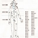 전광태권도 이미지