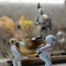 사진반(스마트폰) 이미지