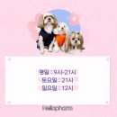 샘물약국 이미지