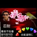 정도합기도 이미지