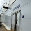 처인농장 | (경기도/용인)처인구 동물체험 무럭무럭농장 동물원 후기