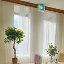 더스테이고시원