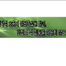 청성 이미지