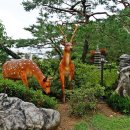 덕소자연사박물관 이미지