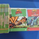 엠엔브이 | [DVD] 와일드 크래츠 Wild Kratts 미국 초등학교 교재로 활용!