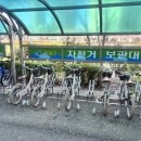 동래구 자전거무료대여소 | 『부산 벚꽃 실시간』 동래 온천천 카페거리 벚꽃현황과 시민공원 무료자전거 대여소 위치,대여방법