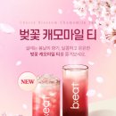 글로벌티 천마산점
