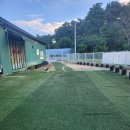 펫플러스라이프 이미지