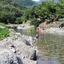 표충사 2 | 경남 계곡-밀양 표충사2_평상,화장실,마트,카페,주차장 있음