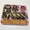 오라이트팜 이미지