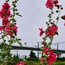 호포주유소 이미지