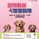 사우문화체육광장 이미지