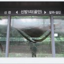 신방1리 골안경로당 Daum카페