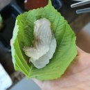 구룡포 대게본가 이미지