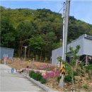 영덕 천연 탄산수 캠핑장 | 캠핑의 색다른 매력, 천연 탄산수가 솟아나는 영덕체험캠핑장에서 느껴보세요!