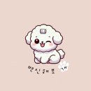 변신해보개 이미지