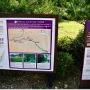 외씨버선길(치유의길) 이미지