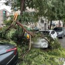 금구천 옥천-7 이미지