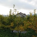 아림농장 이미지